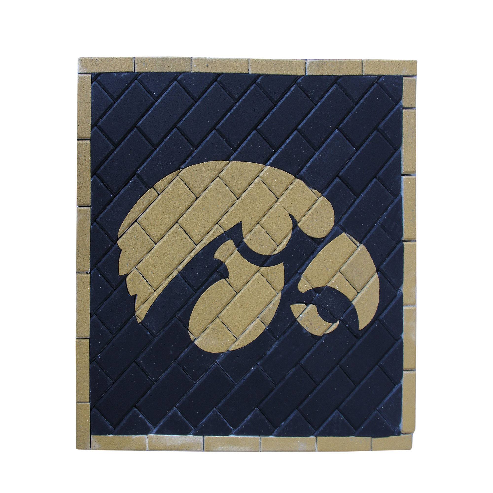 Medallion Hawk
