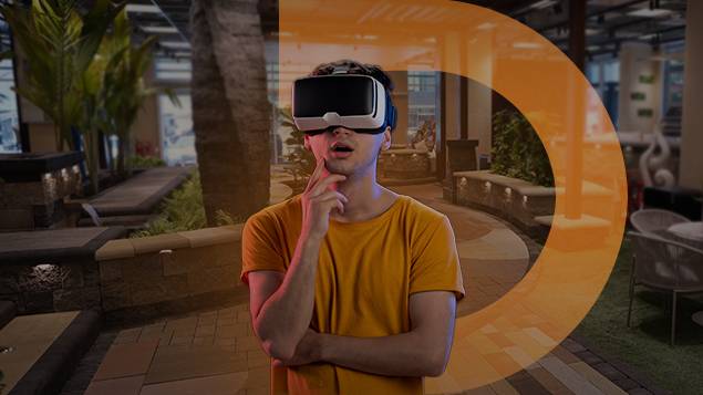 Virtual Visit